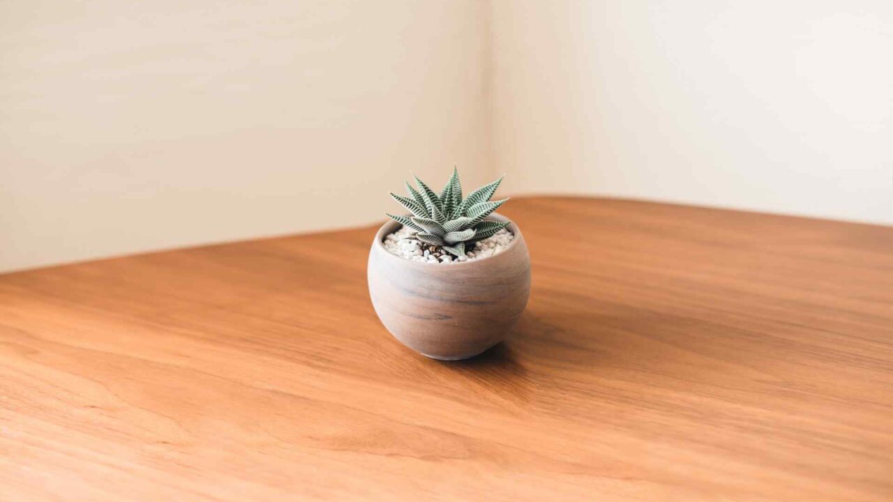 https://innogarden.it/wp-content/uploads/2018/09/post_01-1280x720.jpg