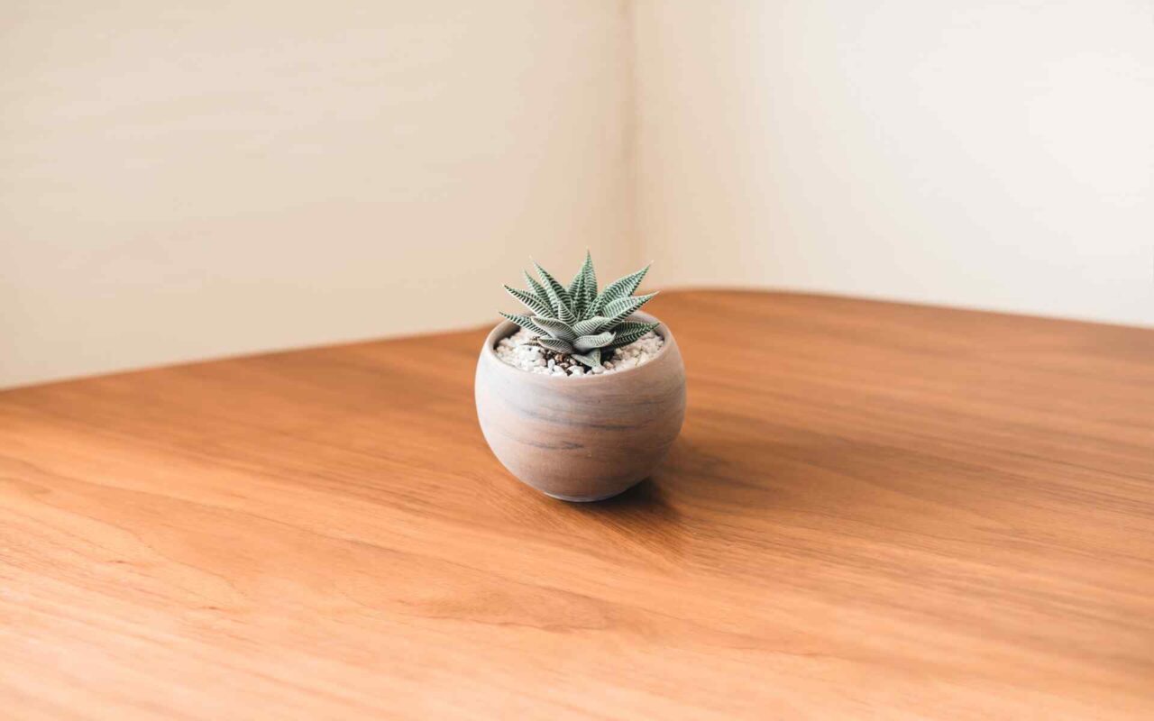 https://innogarden.it/wp-content/uploads/2018/09/post_01-1280x800.jpg
