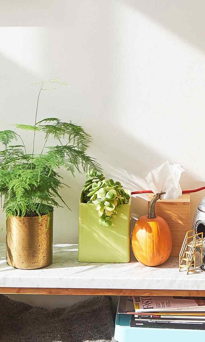 https://innogarden.it/wp-content/uploads/2018/09/post_02-720x1200.jpg