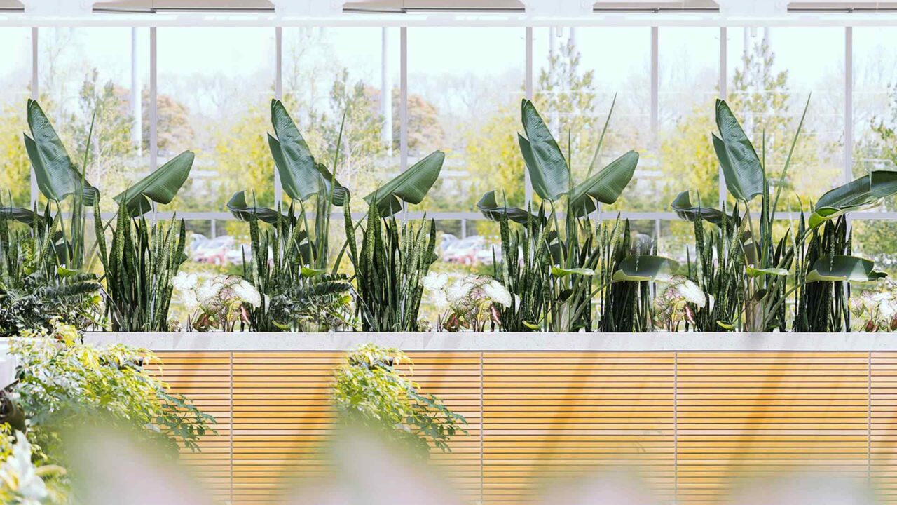 https://innogarden.it/wp-content/uploads/2018/09/post_03-1280x720.jpg