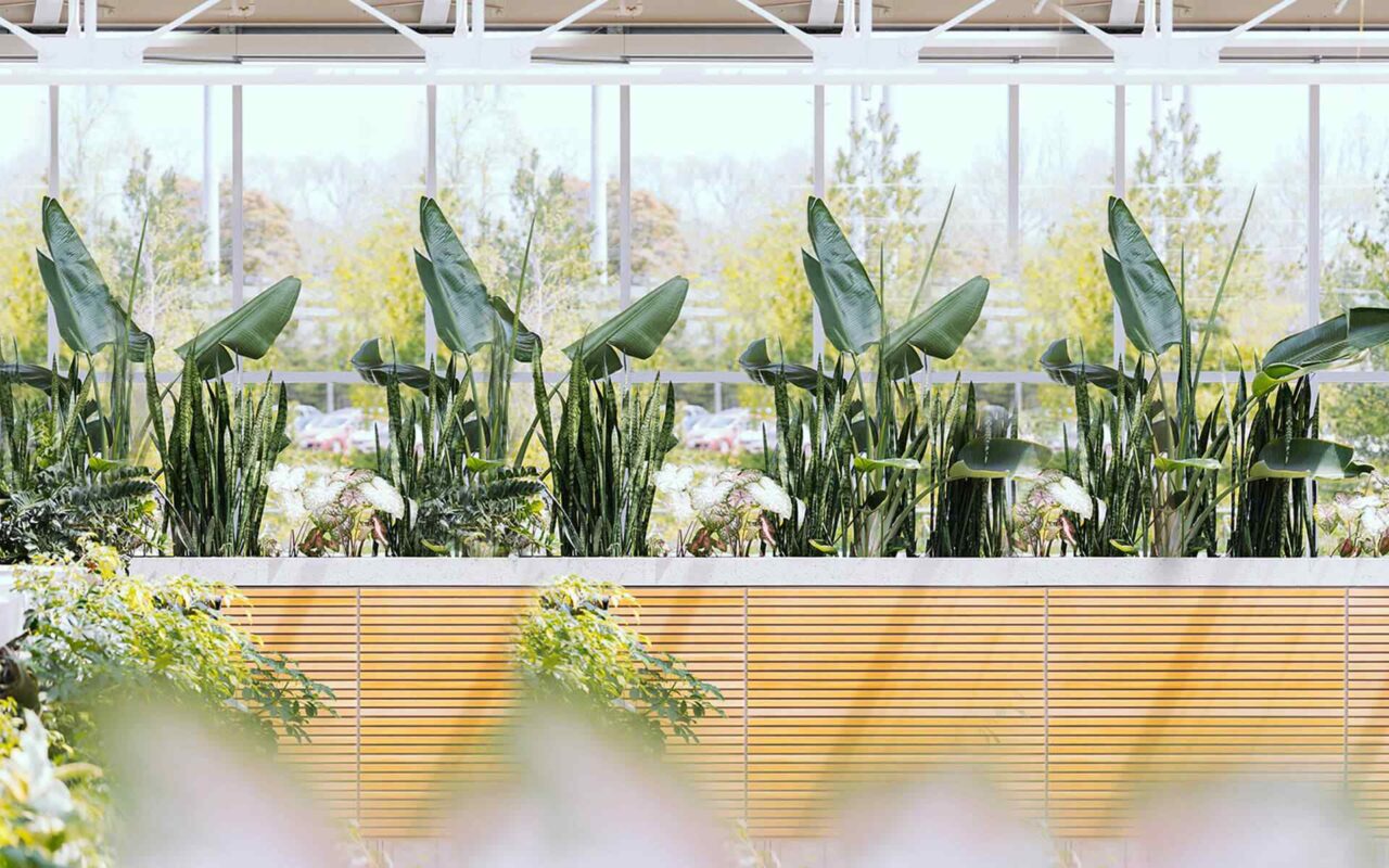 https://innogarden.it/wp-content/uploads/2018/09/post_03-1280x800.jpg