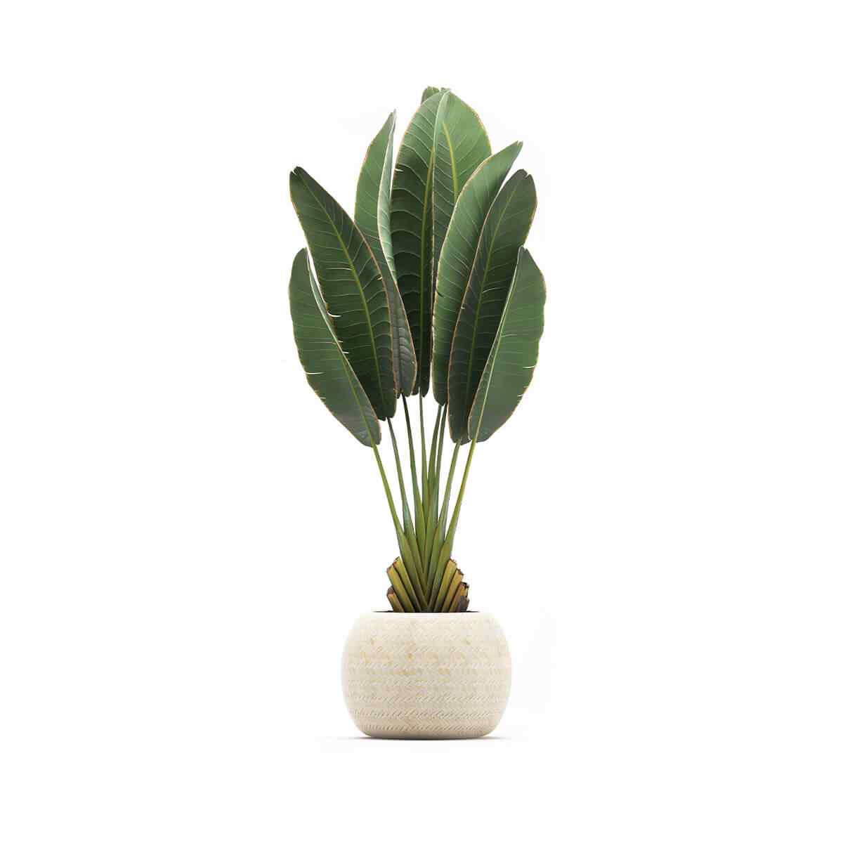 https://innogarden.it/wp-content/uploads/2018/09/product_06.jpg