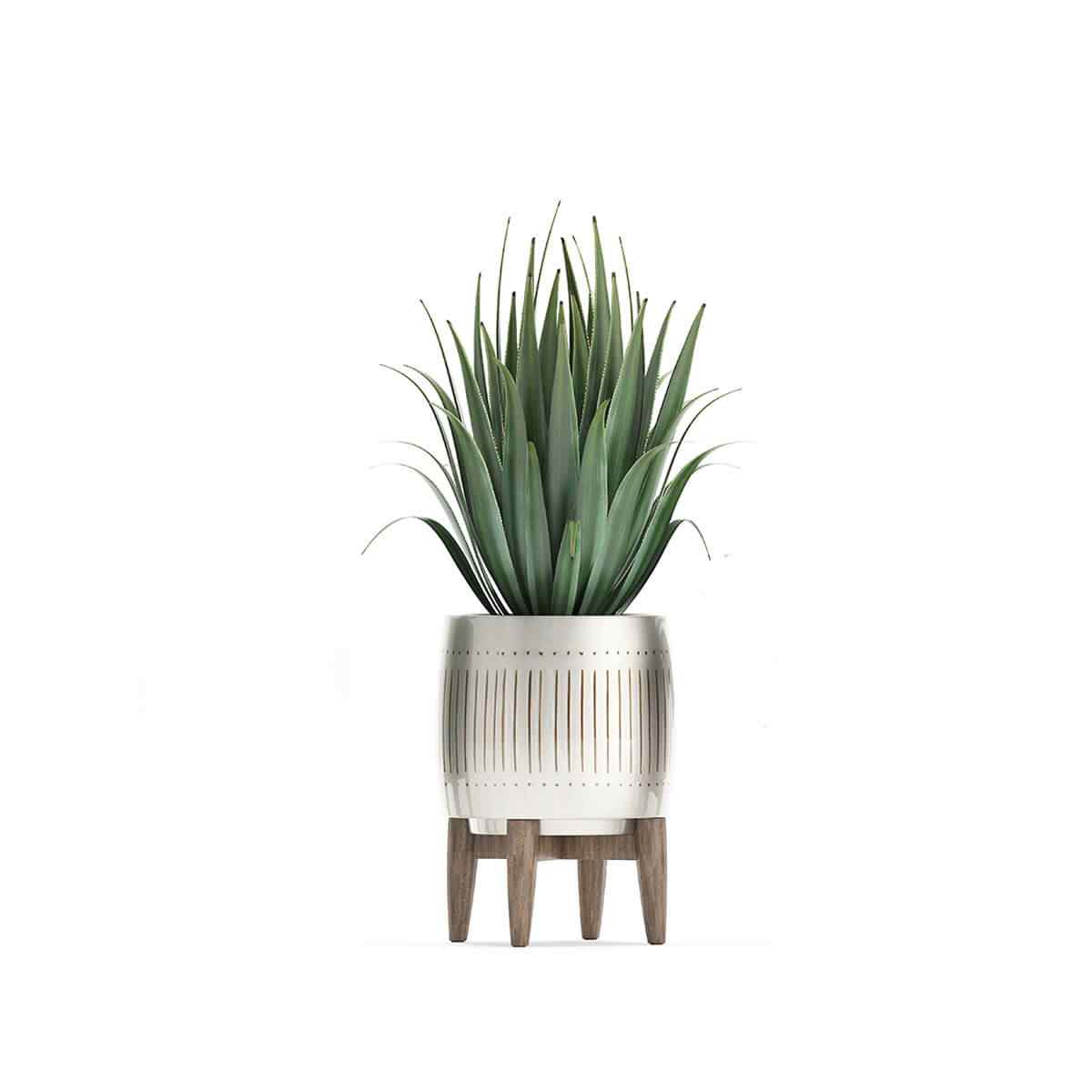 https://innogarden.it/wp-content/uploads/2018/09/product_07.jpg