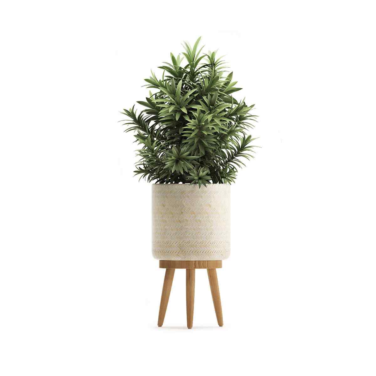 https://innogarden.it/wp-content/uploads/2018/09/product_08.jpg
