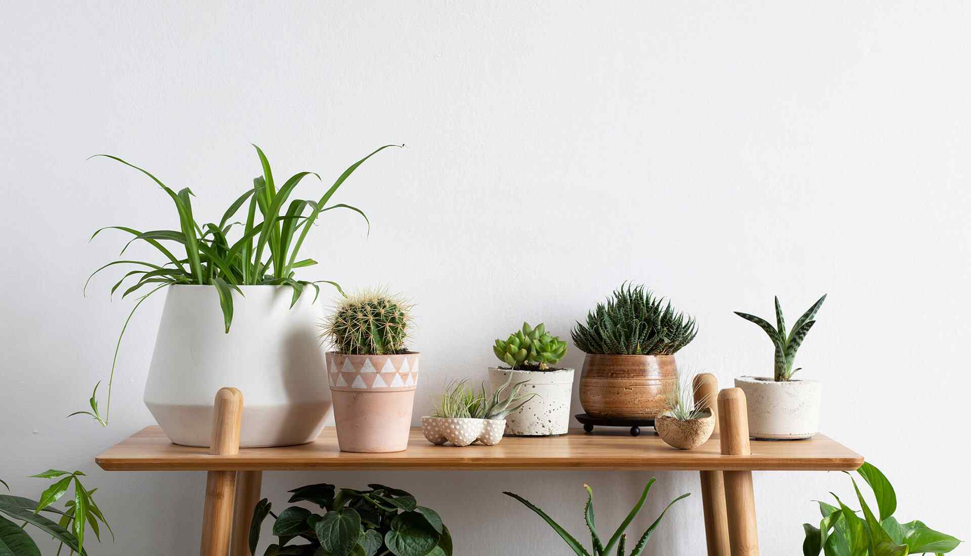 home_03_background_02 https://innogarden.it/wp-content/uploads/2019/08/home_03_background_02.jpg