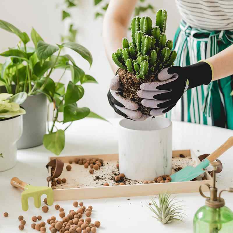 https://innogarden.it/wp-content/uploads/2019/08/home_03_gallery.jpg