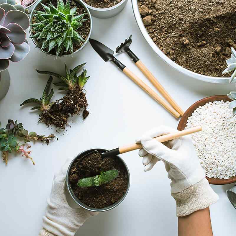 https://innogarden.it/wp-content/uploads/2019/08/home_03_gallery_03.jpg