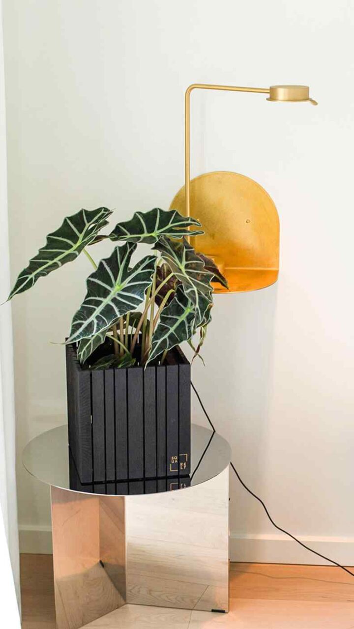https://innogarden.it/wp-content/uploads/2019/08/home_03_inner-720x1280.jpg