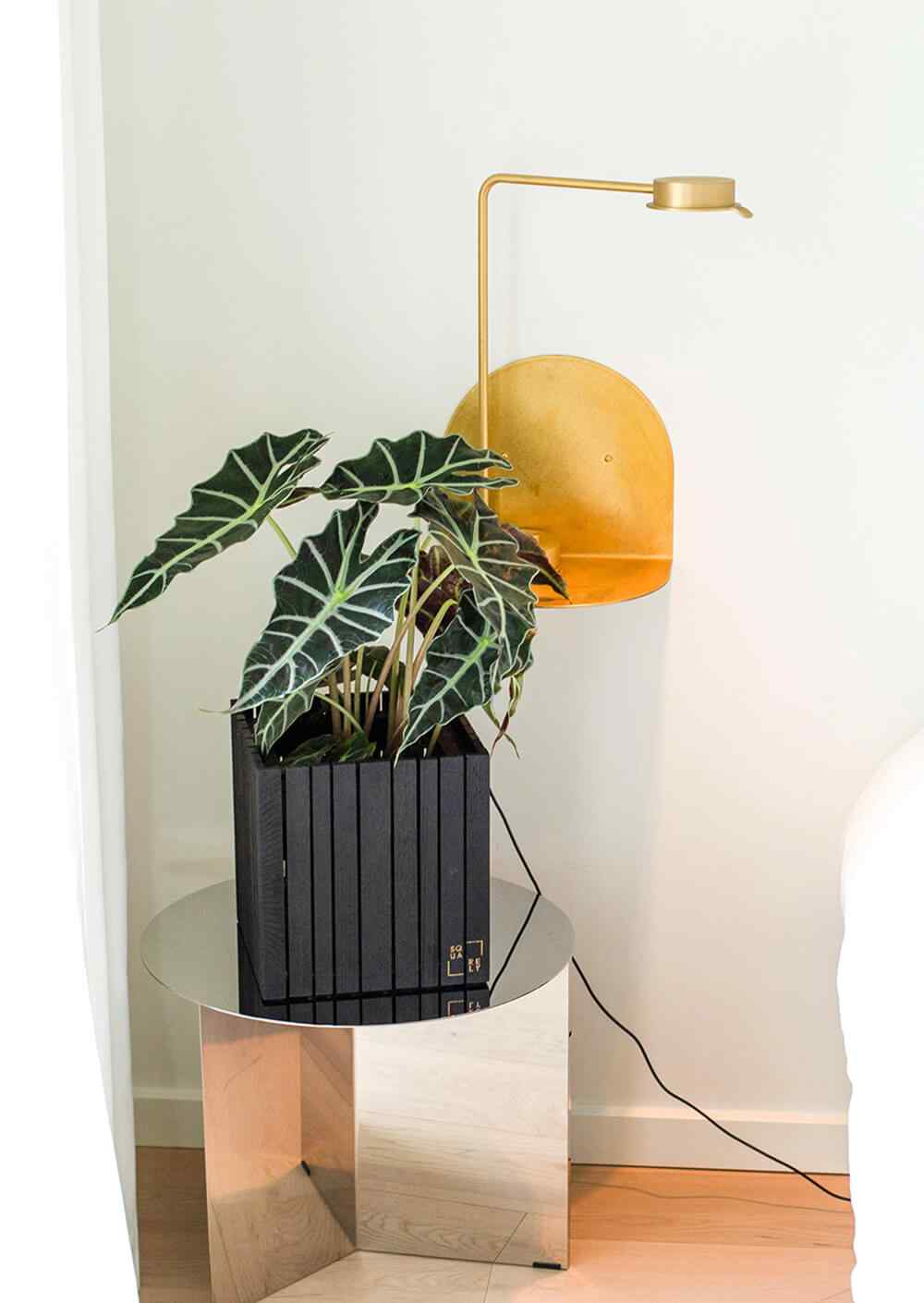 https://innogarden.it/wp-content/uploads/2019/08/home_03_inner.jpg