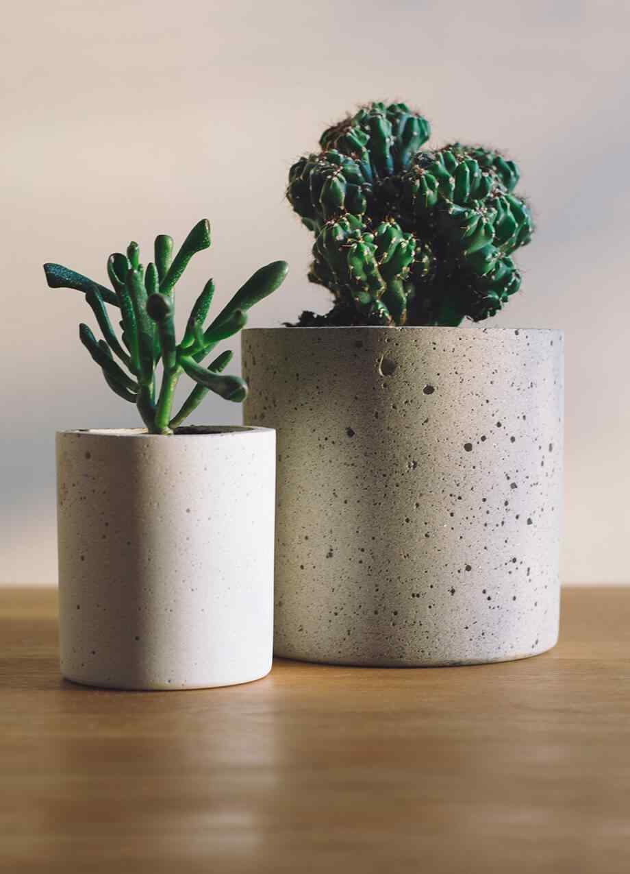 home_03_inner_03 https://innogarden.it/wp-content/uploads/2019/08/home_03_inner_03.jpg