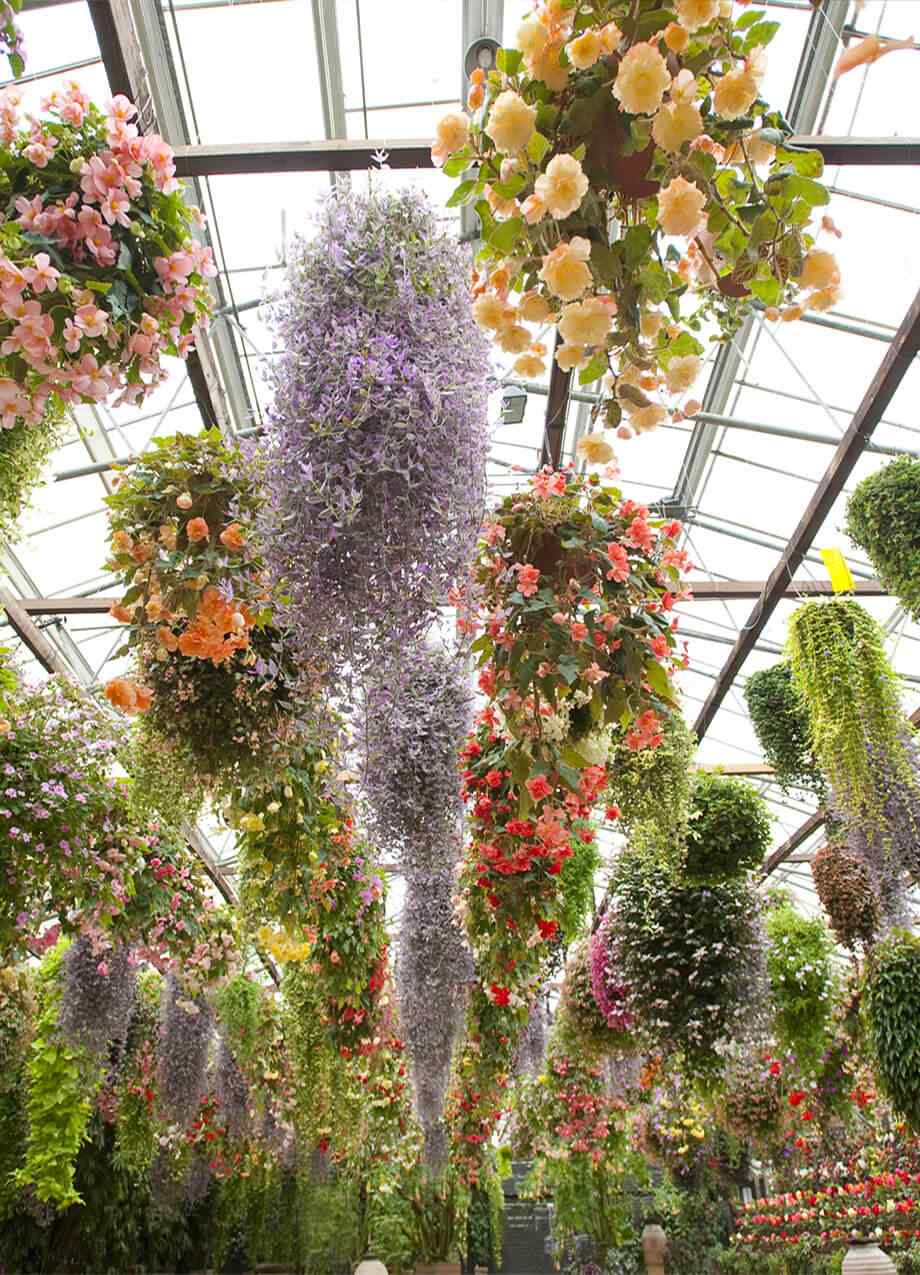 home_03_inner_04 https://innogarden.it/wp-content/uploads/2019/08/home_03_inner_04.jpg