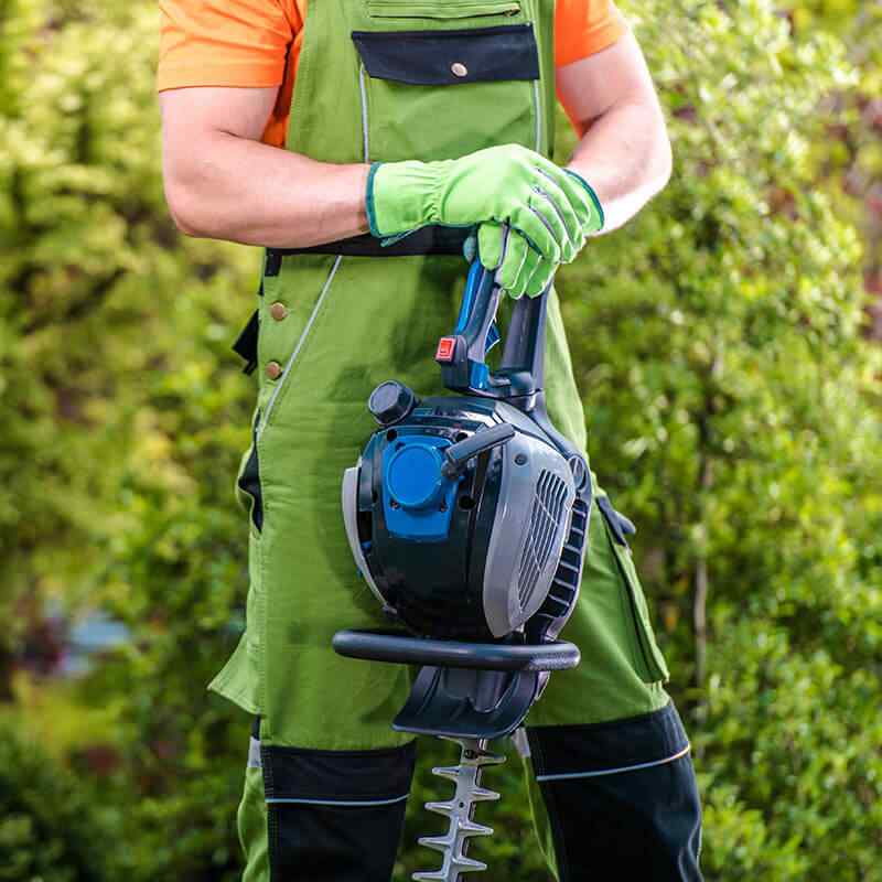 https://innogarden.it/wp-content/uploads/2019/08/home_4_services.jpg