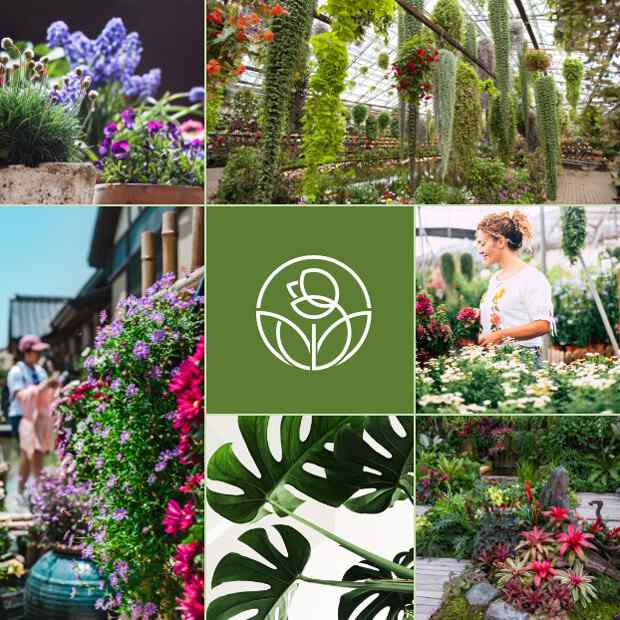 https://innogarden.it/wp-content/uploads/2019/08/home_gallery_instagram.jpg