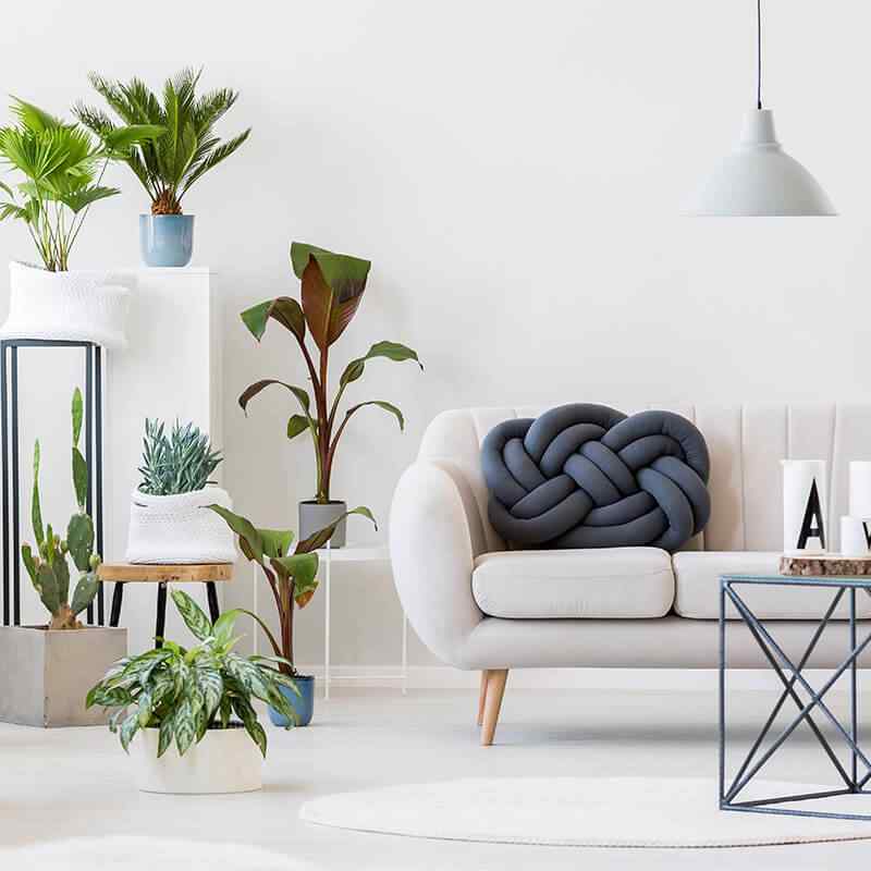 https://innogarden.it/wp-content/uploads/2019/09/card_14.jpg