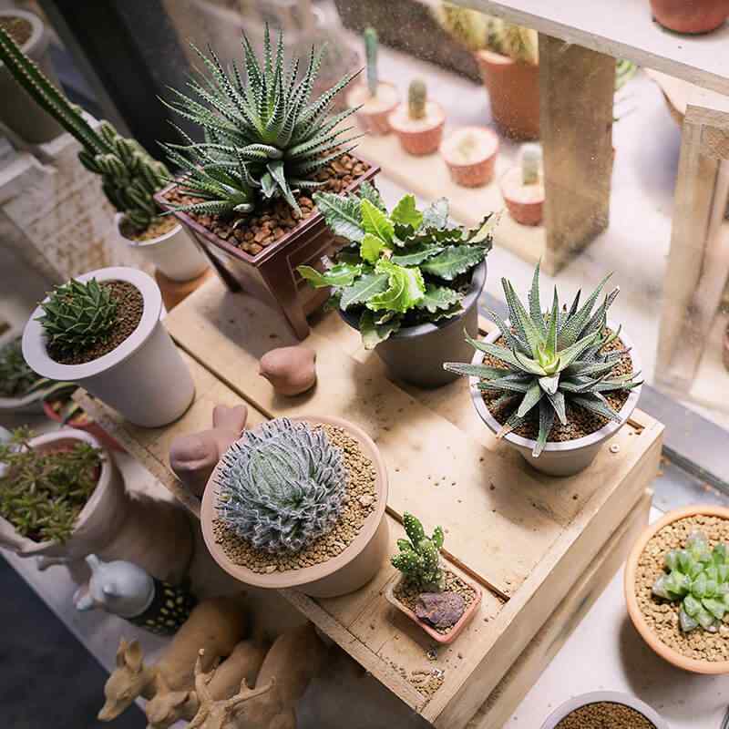 https://innogarden.it/wp-content/uploads/2019/09/card_28.jpg