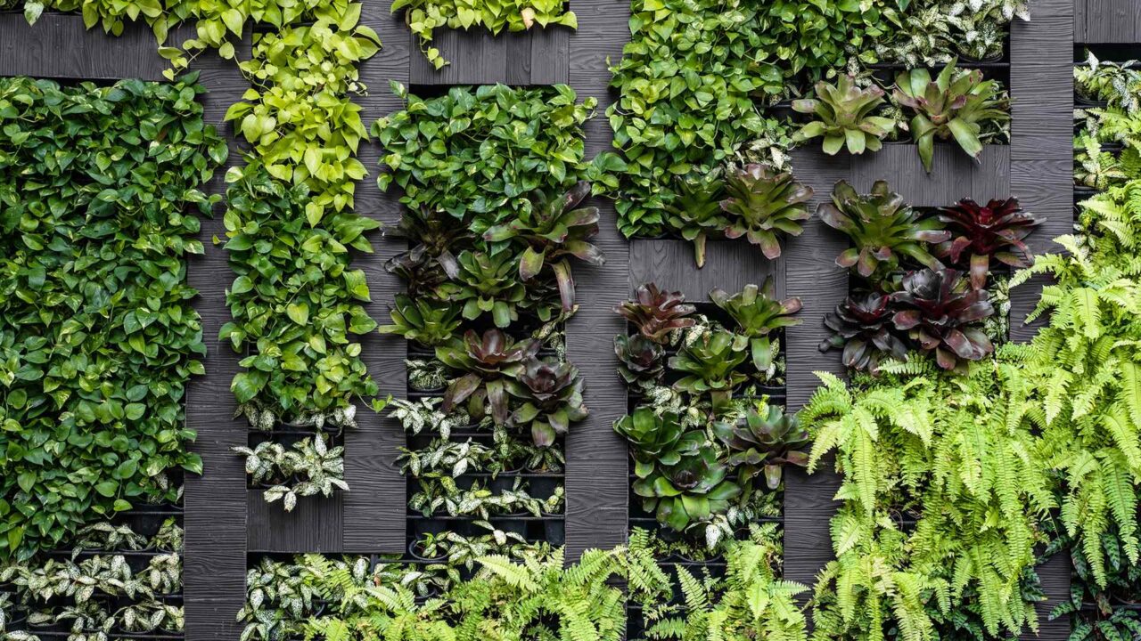 https://innogarden.it/wp-content/uploads/2019/10/post_11-1-1280x720.jpg