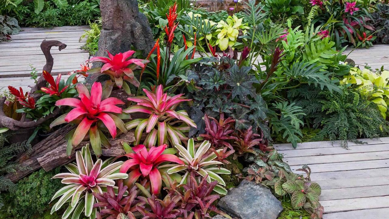 https://innogarden.it/wp-content/uploads/2019/10/post_12-1280x720.jpg