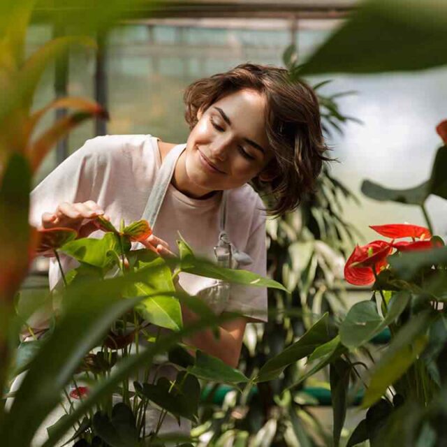 https://innogarden.it/wp-content/uploads/2019/10/team_08-640x640.jpg